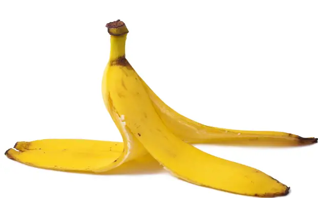 Are Banana Peels Biodegradable