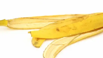 How Long Does It Take A Banana Peel To Decompose