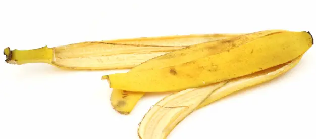 How Long Does It Take A Banana Peel To Decompose