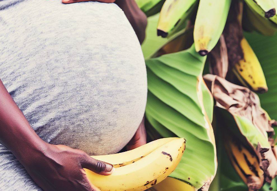 Is Plantain Good For Pregnancy? Is It Really Safe?