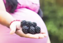 Are Blackberries Safe During Pregnancy?