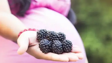 Are Blackberries Safe During Pregnancy?