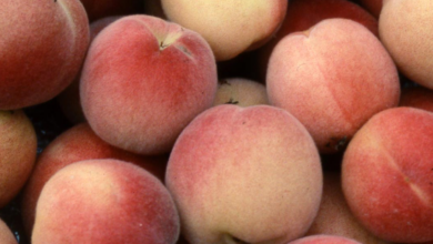 How To Tell If Peaches Are Bad & How Long Do They Last?