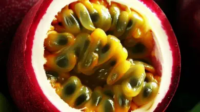 When Are Passion Fruit In Season