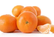 Are Mandarins Good For Pregnancy