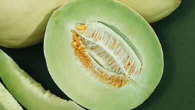 Is Honeydew A Tropical Fruit? All You Need To Know