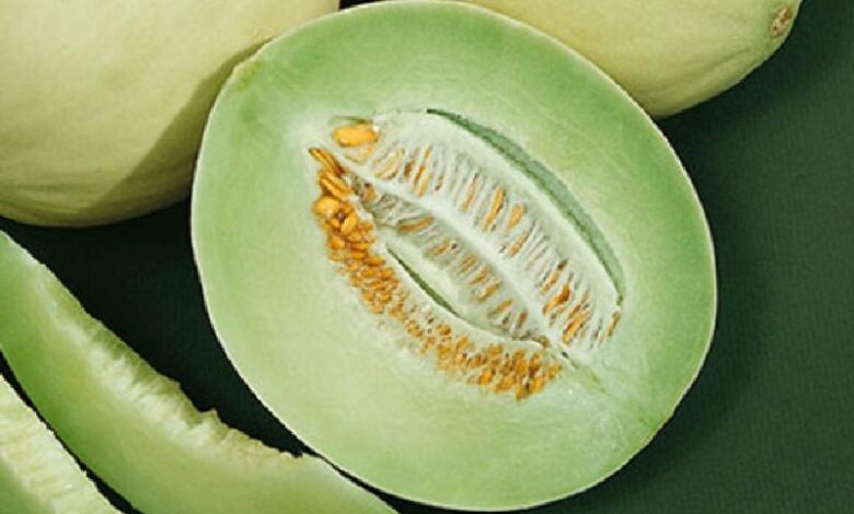 Is Honeydew A Tropical Fruit? All You Need To Know