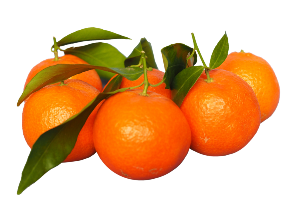 are tangerines good for pregnancy