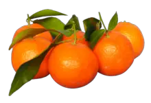 are tangerines good for pregnancy