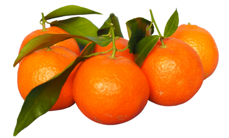 Are Tangerines Good For Pregnancy Is It Safe 