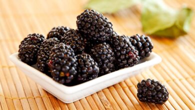 How to Make Blackberries Sweeter and Juicier