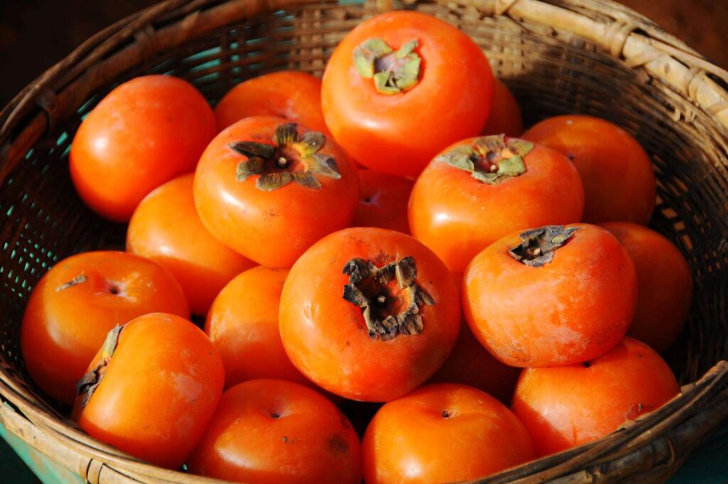 Why Does Persimmon Dry Your Mouth?