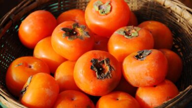 Why Does Persimmon Dry Your Mouth?