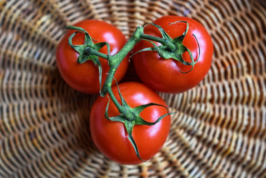 Is Tomato A Tropical Fruit? All You Need To Know