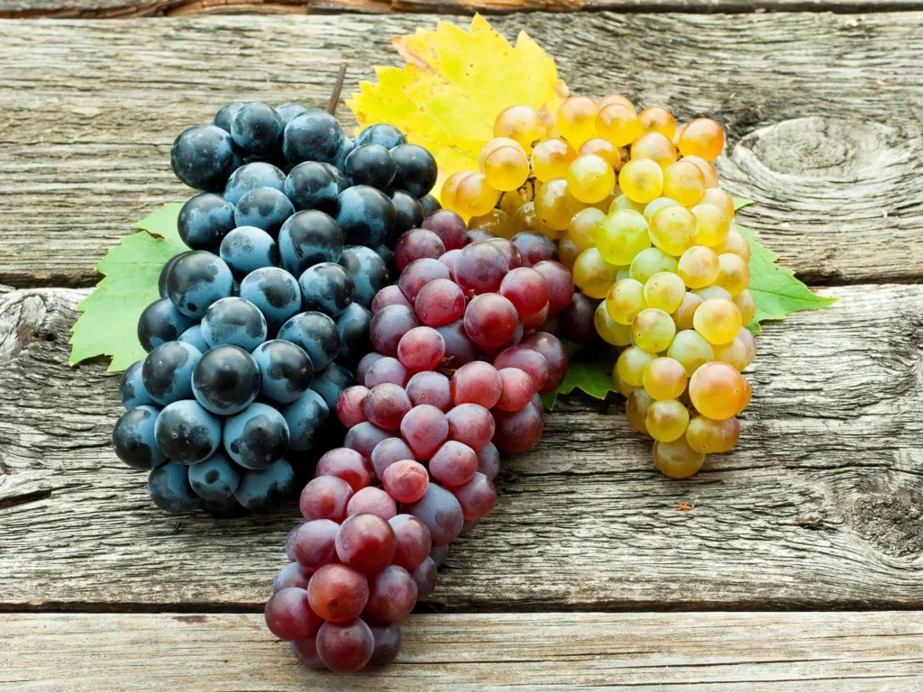 Are Grapes Good For Weight Loss?