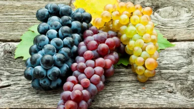 Are Grapes Good For Weight Loss?