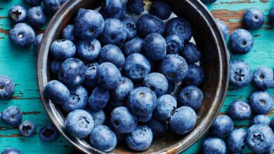 Fruits That Are Blue In Color