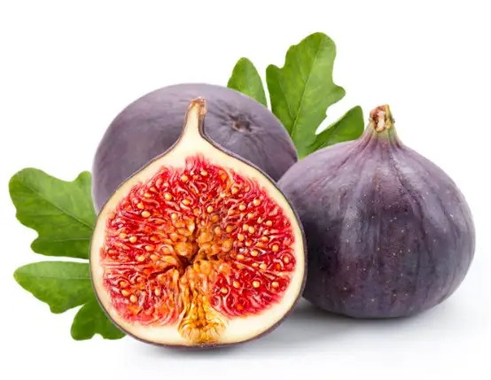 How Long Does A Fig Tree Take To Bear Fruit?