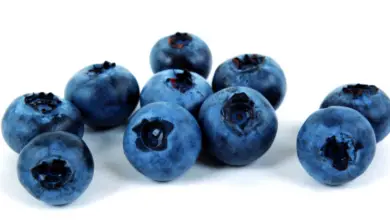Are Blueberries Good For Acne