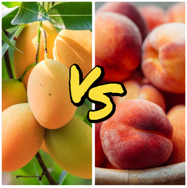 Mango Vs Peach