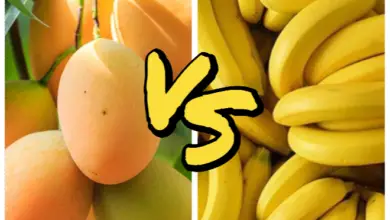 Mango Vs Banana