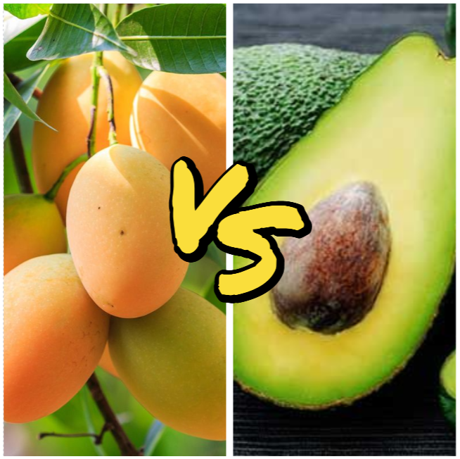 Avocado Vs Mango