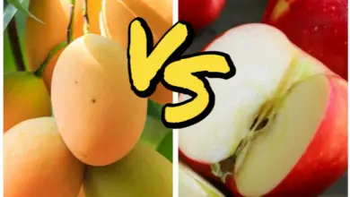 Mango vs Apple for Weight Loss