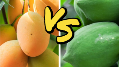 Tropical Showdown: Mango vs. Papaya - A Comparison
