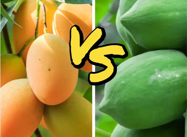 Tropical Showdown: Mango vs. Papaya - A Comparison
