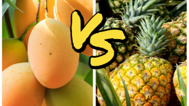 Mango Vs Pineapple, FruitoNix
