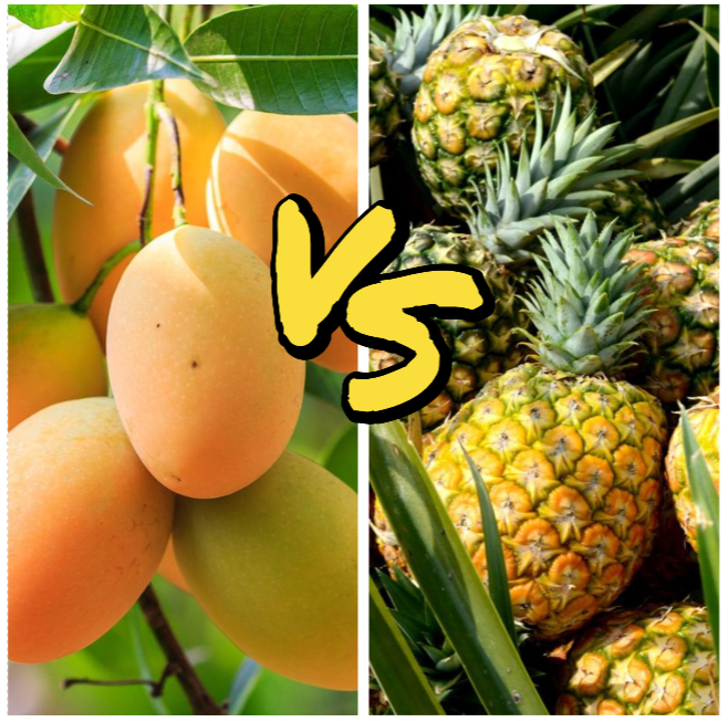 Tropical Showdown: Mango Vs Pineapple – A Comparison