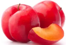 Benefits of Eating Plums for Skin