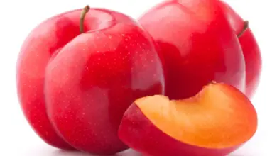 Benefits of Eating Plums for Skin