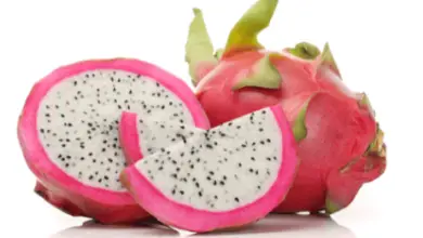 10 Dragon Fruit Benefits for Thyroid Patients