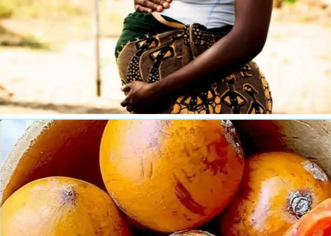 benefits of agbalumo in pregnancy