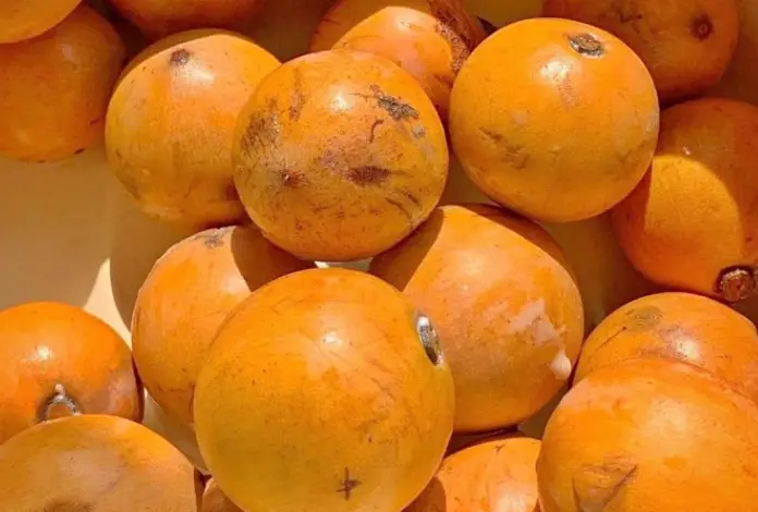 How To Preserve Agbalumo
