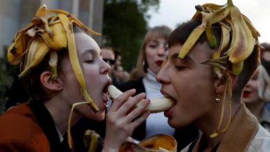 How Genetically Similar Are Humans To Bananas?