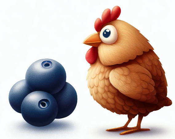 Can Chickens Eat Blueberries? [Yes or No]