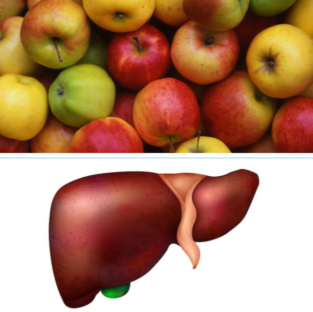 Liver Health: The Impact of Apples on Your Liver