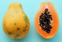 Is Papaya Good For Constipation