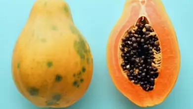 Is Papaya Good For Constipation