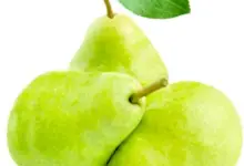 Are Pears Good For Gastritis