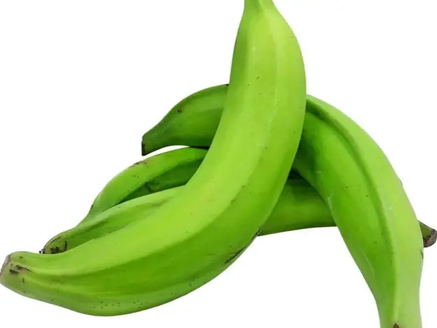 Are Green Plantains Good For Diabetics