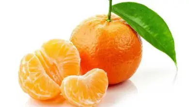 Are Tangerines Good For Diabetics