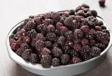 Are Boysenberries Good For You