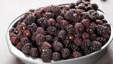 Are Boysenberries Good For You