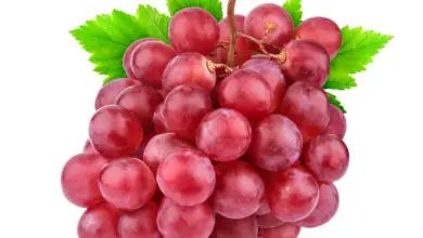 Benefits of Eating Red Grapes for Skin