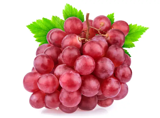 Benefits of Eating Red Grapes for Skin
