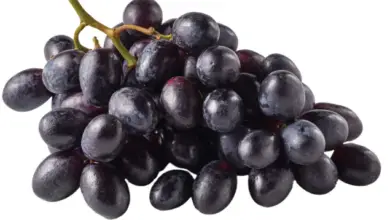 Benefits of Eating Black Grapes for Skin