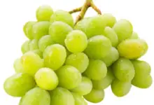 Benefits of Eating Green Grapes for Skin